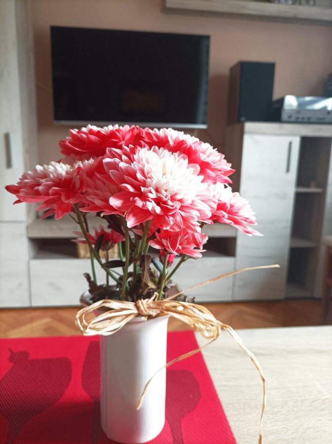 발제보 Iva Centar 아파트 외부 사진